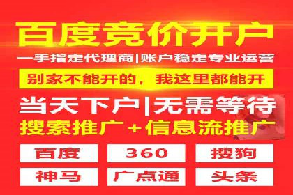 SEM竞价员的核心技能与成功案例解析